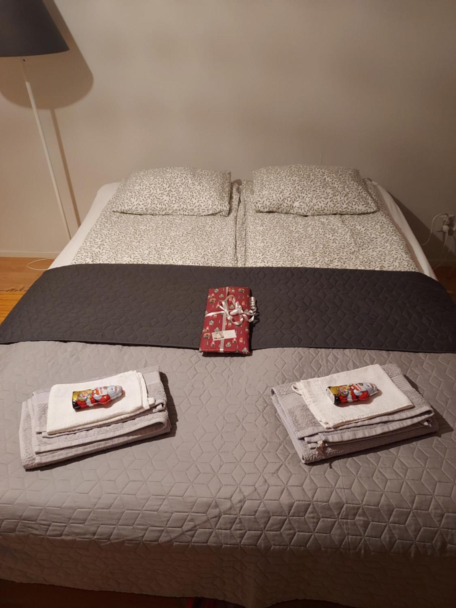 Anjala - Cozy Apartment Near City Centre 罗瓦涅米 外观 照片